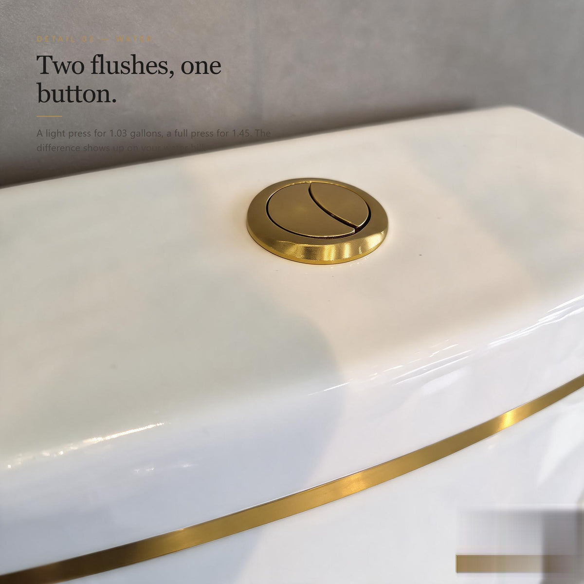 Gold Trim One-Piece Toilet