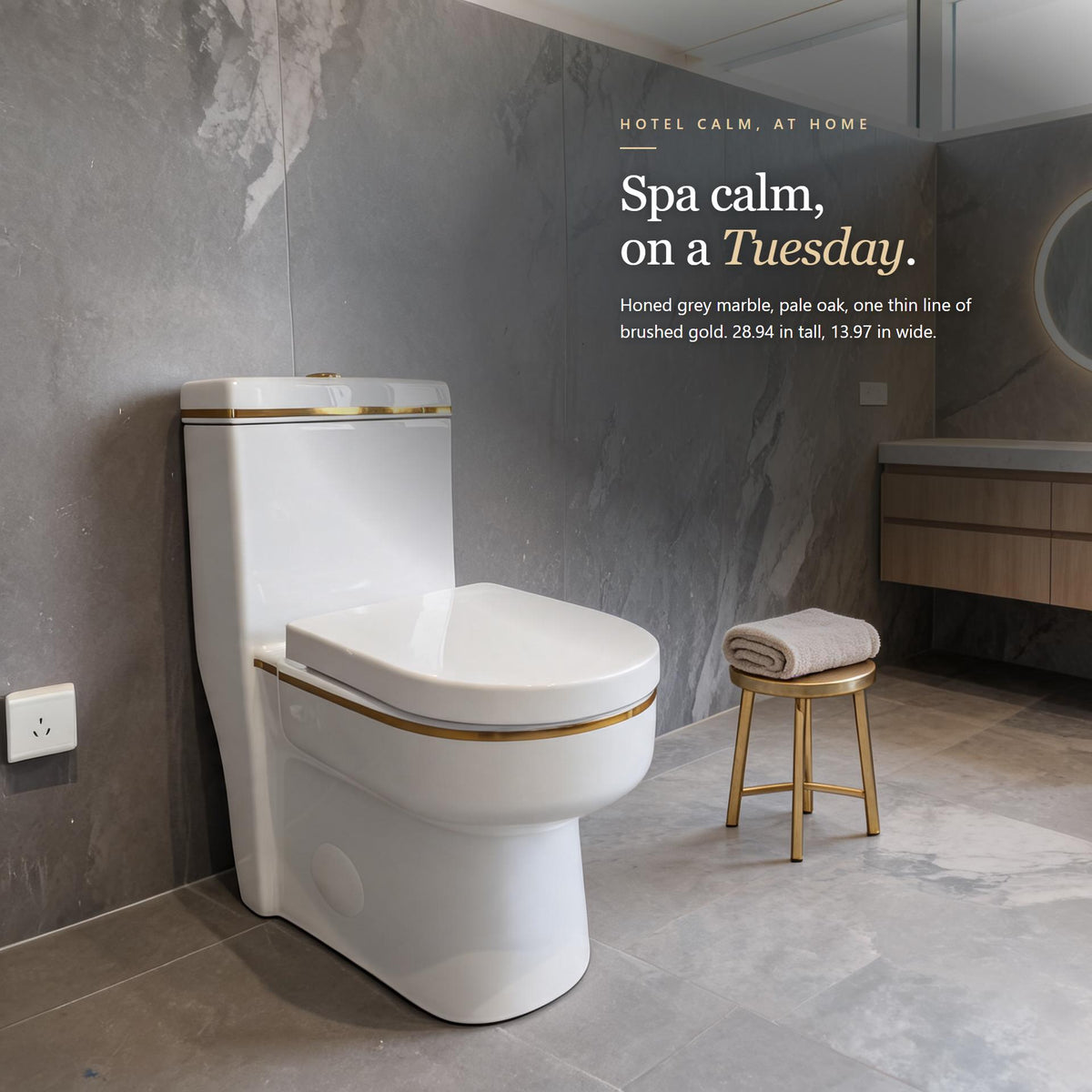 Gold Trim One-Piece Toilet