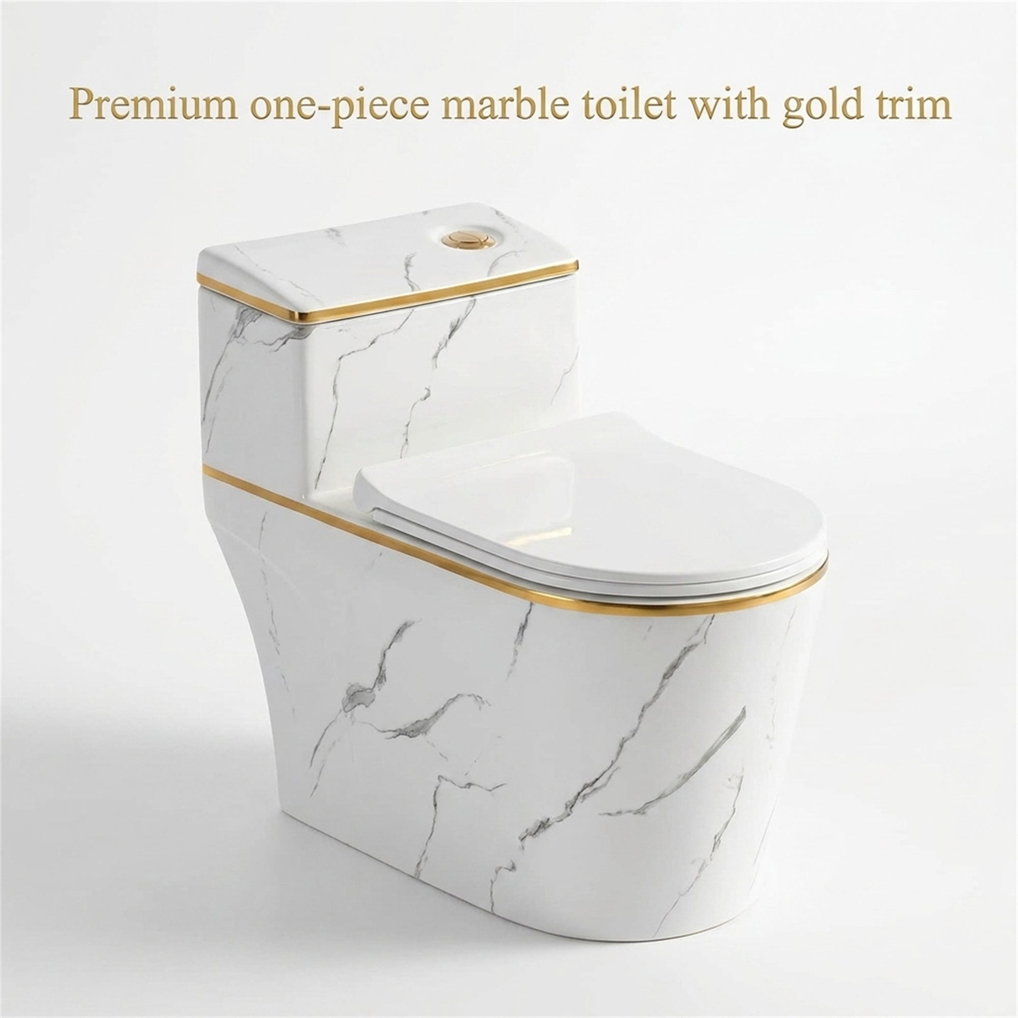 (Dedicated to Carolyn)1.6 Gallons Per Minute GPF Elongated Comfort Height Floor Mounted One-Piece Toilet (Seat Included)