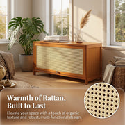 A 31.5-inch rattan cabinet that hides the pile by the door — and looks like you planned it.